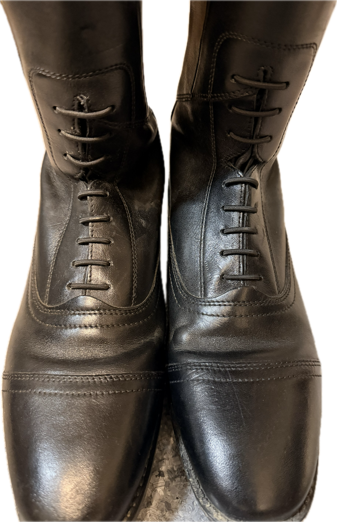 LeMieux Tall Field Riding Boot - Black - Women's Size 38