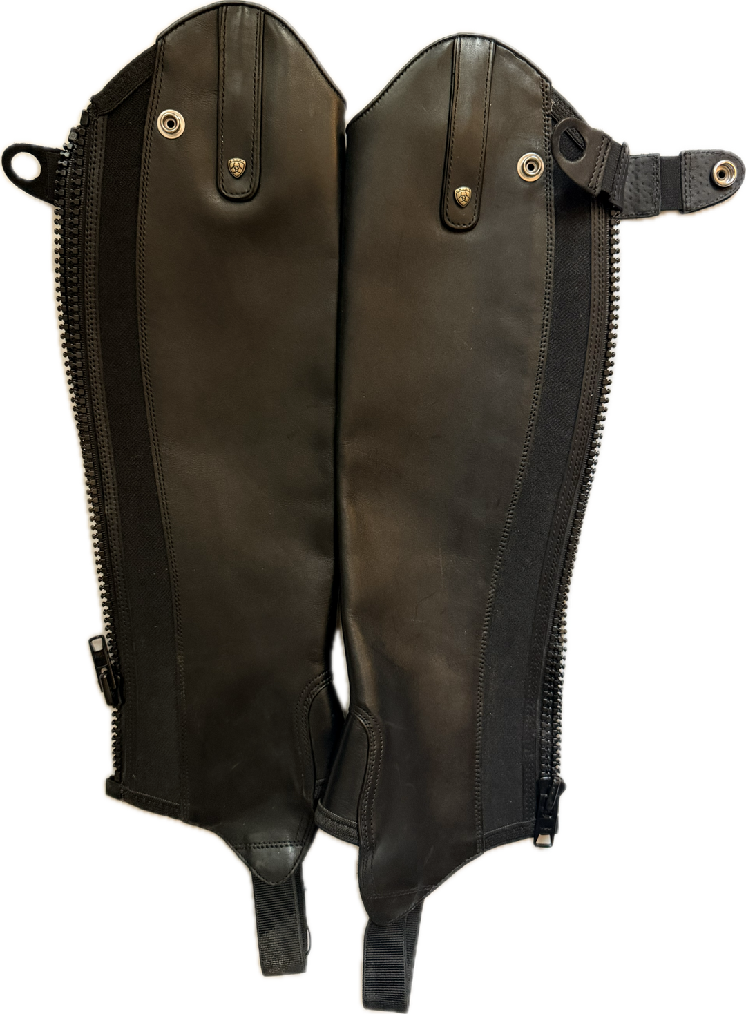Ariat Heritage Contour Half Chaps - Black - XSM - New!