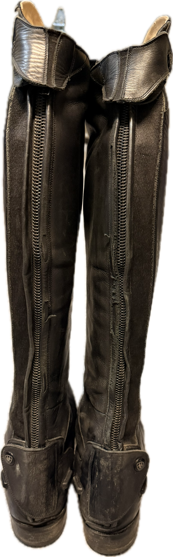 Ariat Ladies Divino Tall Field Boot - Women's US 7.5
