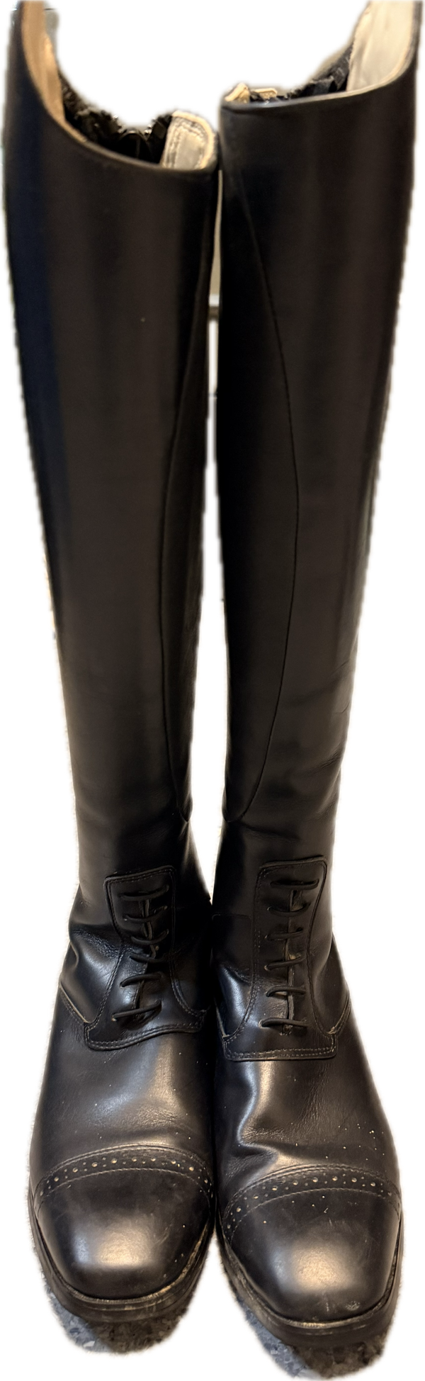 Ariat Monaco Field Tall Boot - Women's 7B - Tall Slim