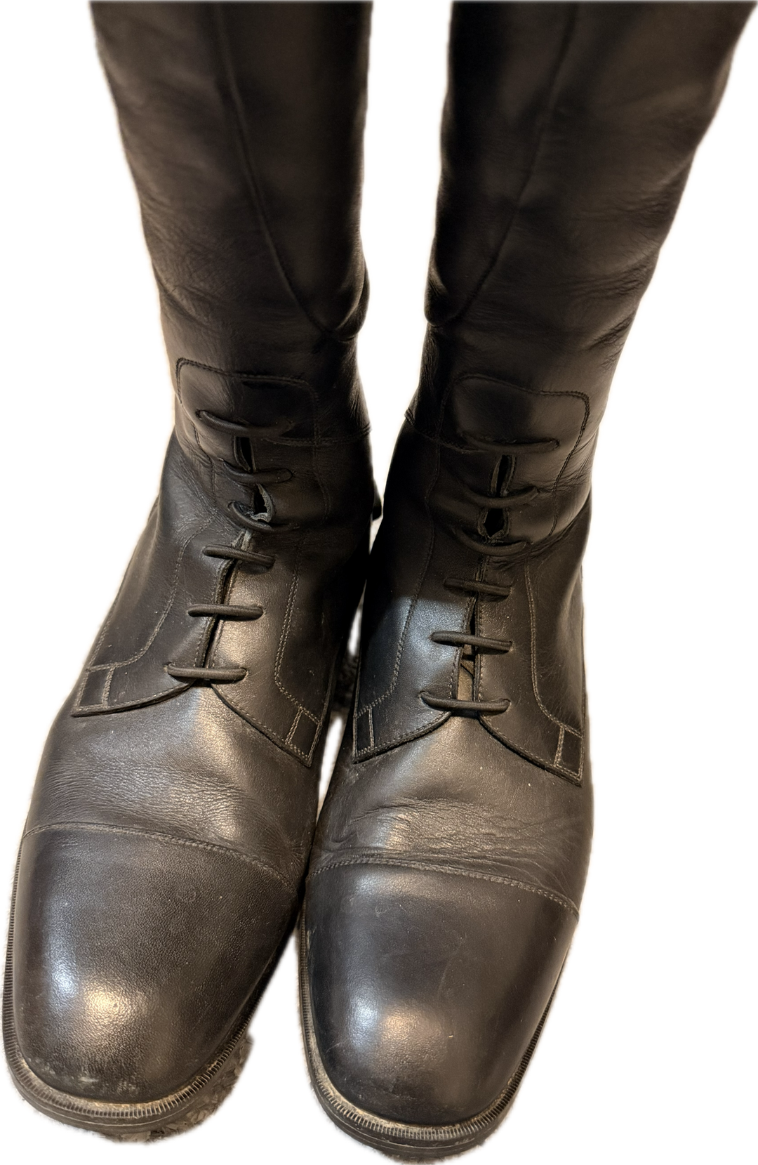 Ariat Ladies Divino Tall Field Boot - Women's US 7.5