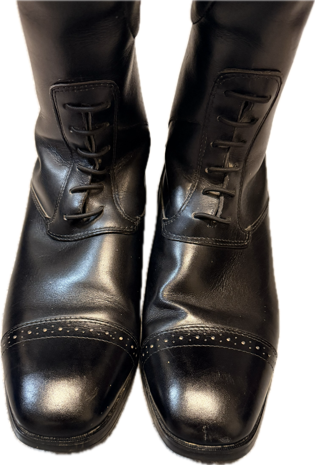 Ariat Monaco Field Tall Boot - Women's 7B - Tall Slim