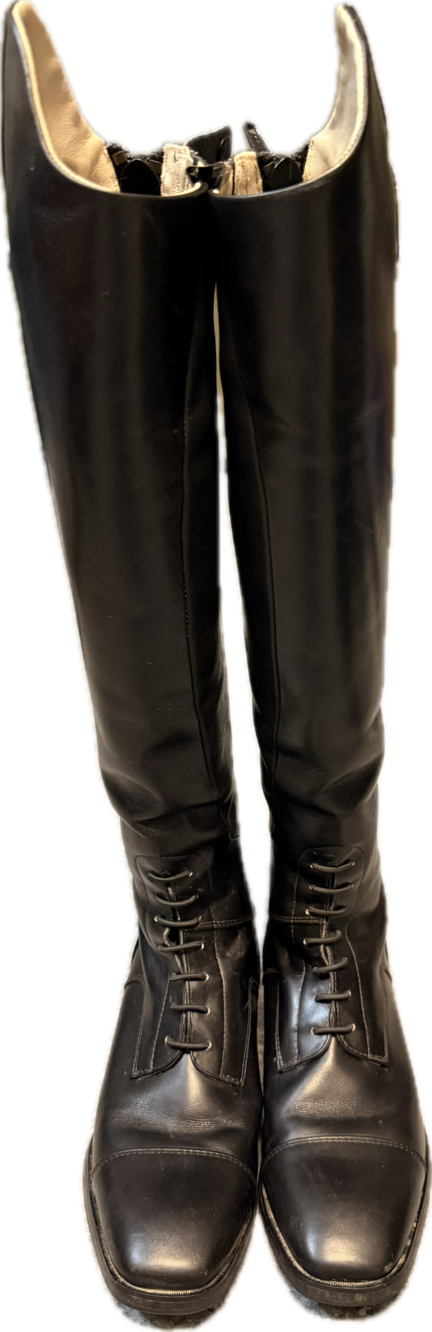 Ariat Monaco Field Tall Boot - Women's 7B - Tall Regular