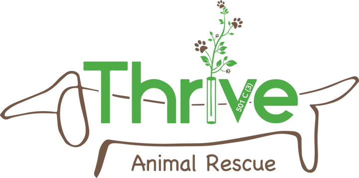 Thrive Animal Rescue Grey Hoodie - New