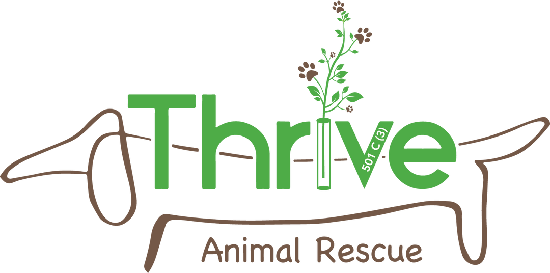 Thrive Animal Rescue Ladies' Grey T-Shirt - New