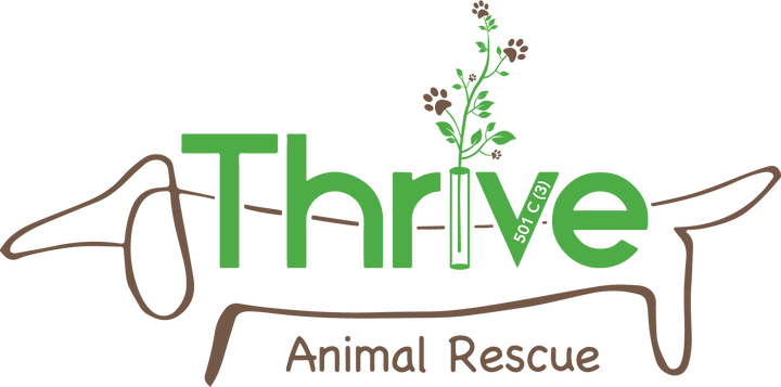 Thrive Animal Rescue Ladies' Grey T-Shirt - New