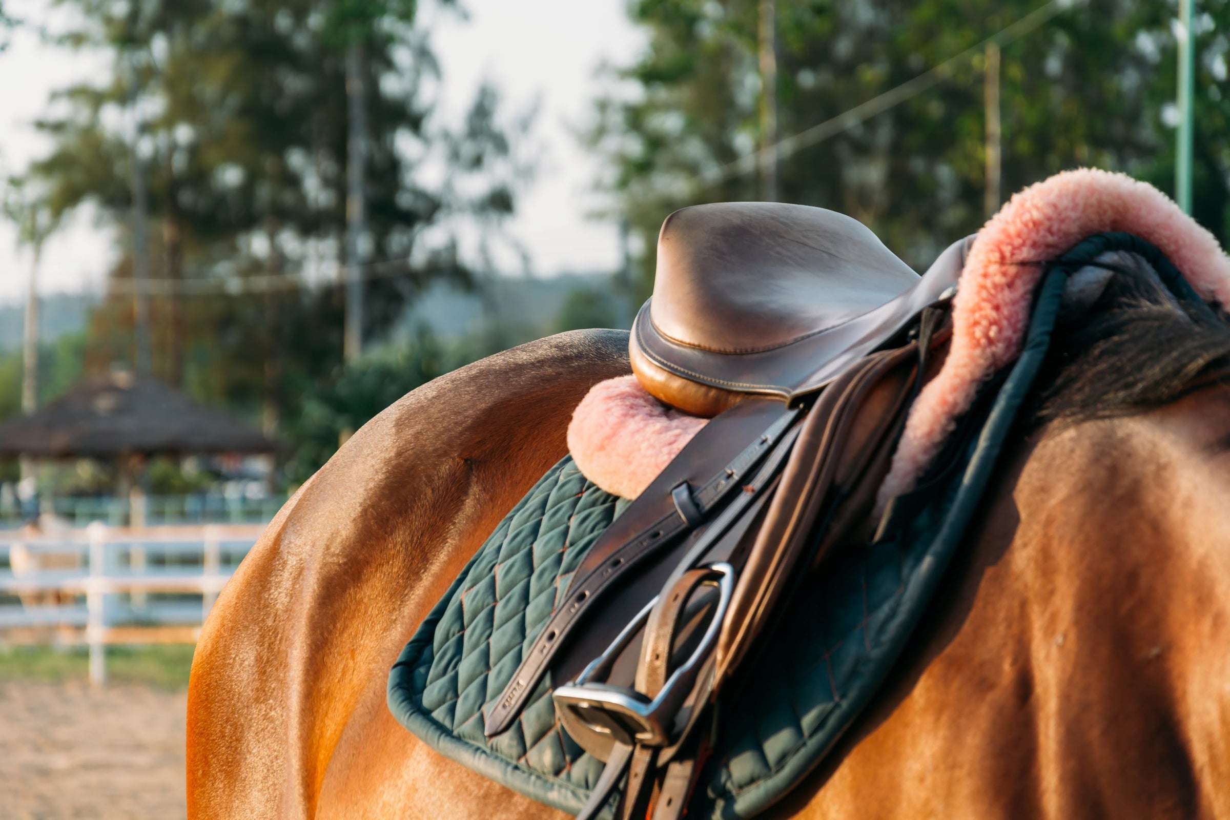 Luxury Sports Shop - Top quality Horse and Rider supplies
