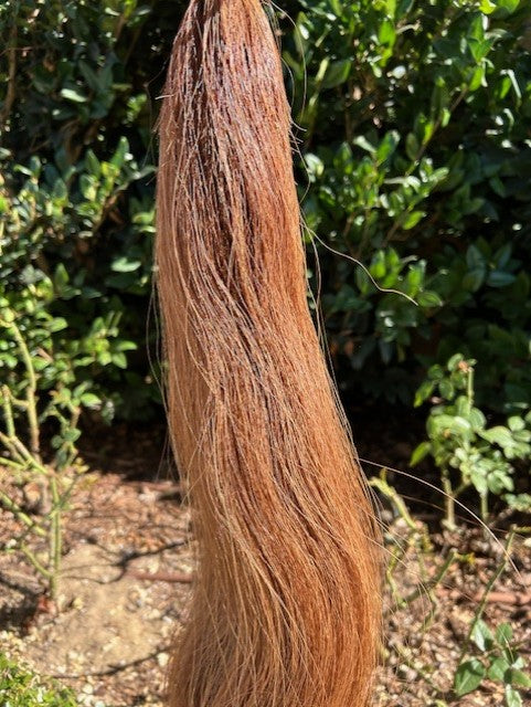 Horse Tail Extension - Chestnut