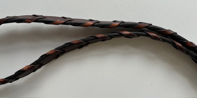 Bridle with Flat Noseband and Browband with Reins – Horse