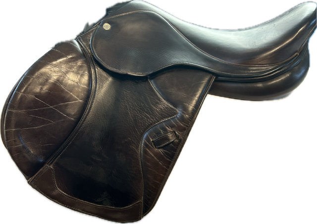 16.5" M. Toulouse Premia