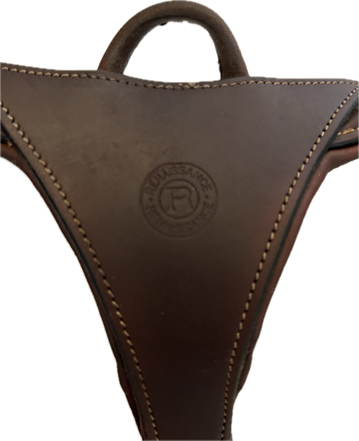 Renaissance Breastplate - Full