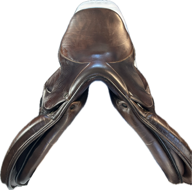 16.5" M. Toulouse Premia