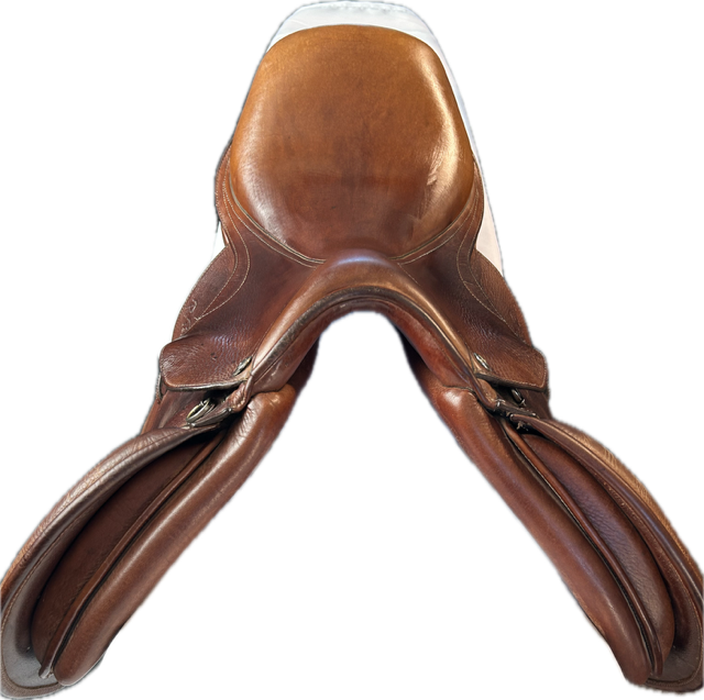 16" Rodrigo Pessoa Close Contact