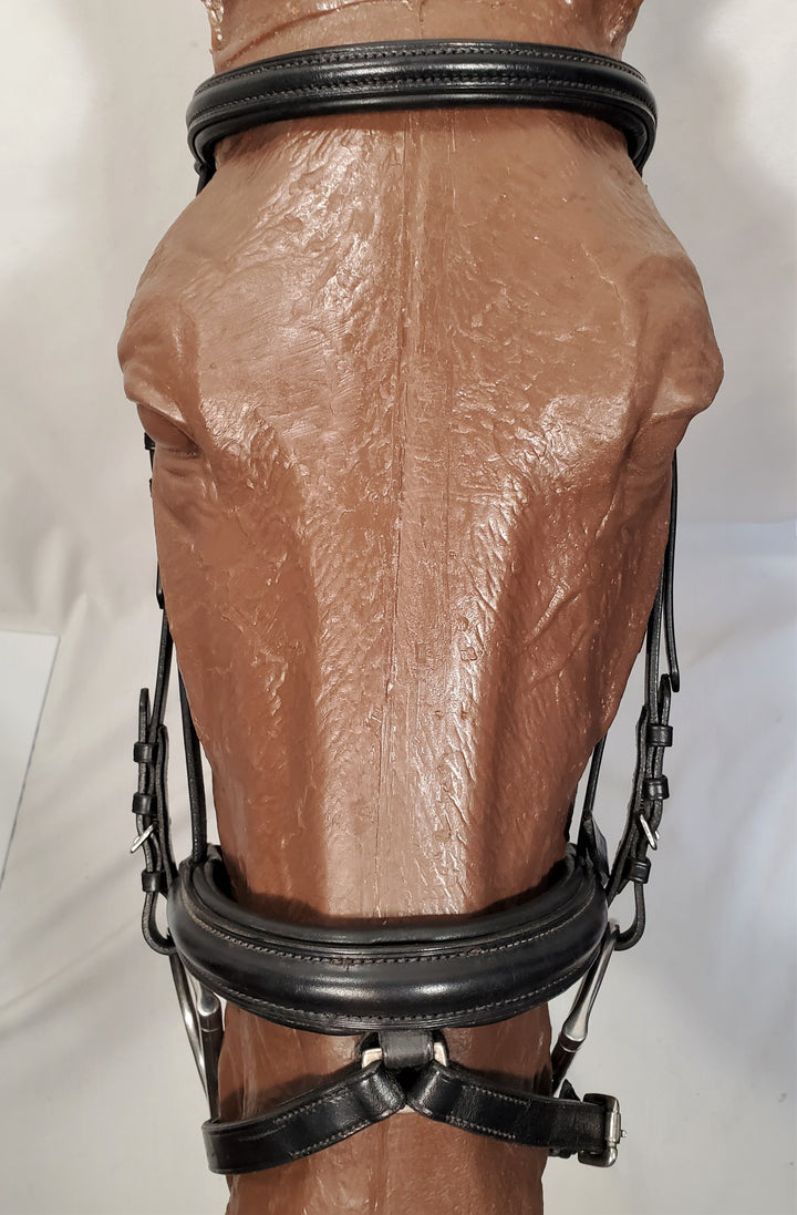 Dressage Bridle with Integrated Flash - X Full - The Show Trunk Shop